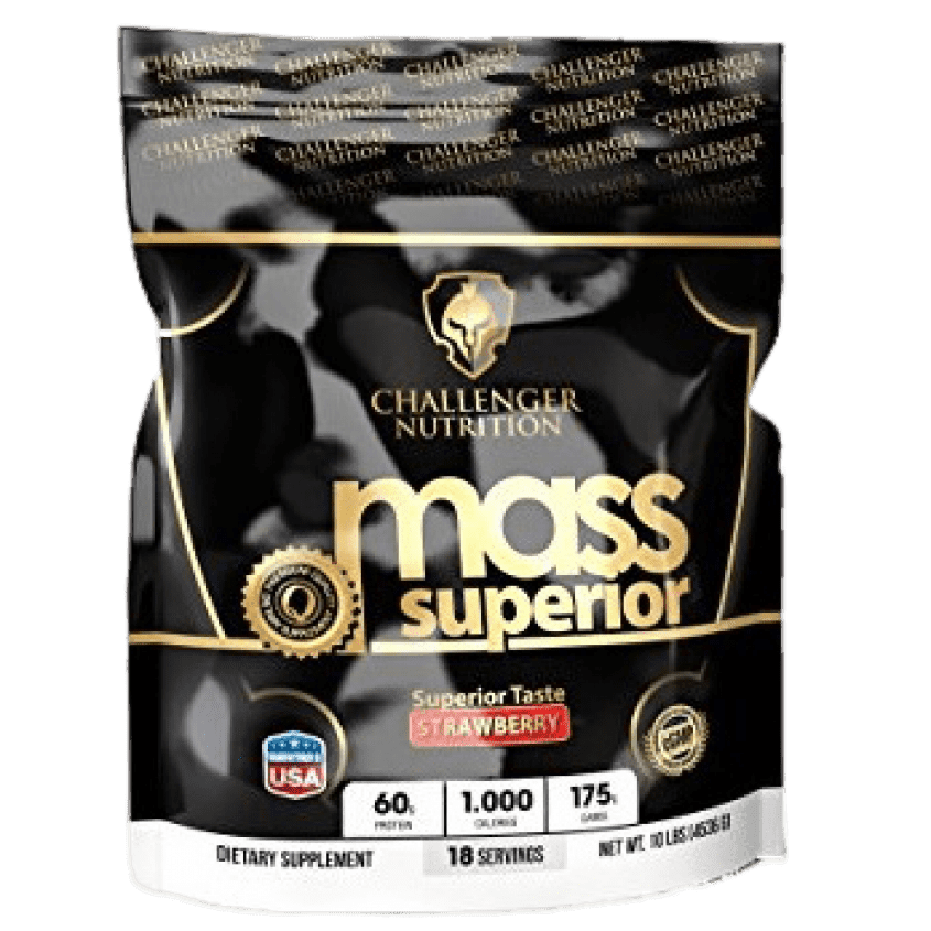 Challenger Gainer - The Supplements Factory