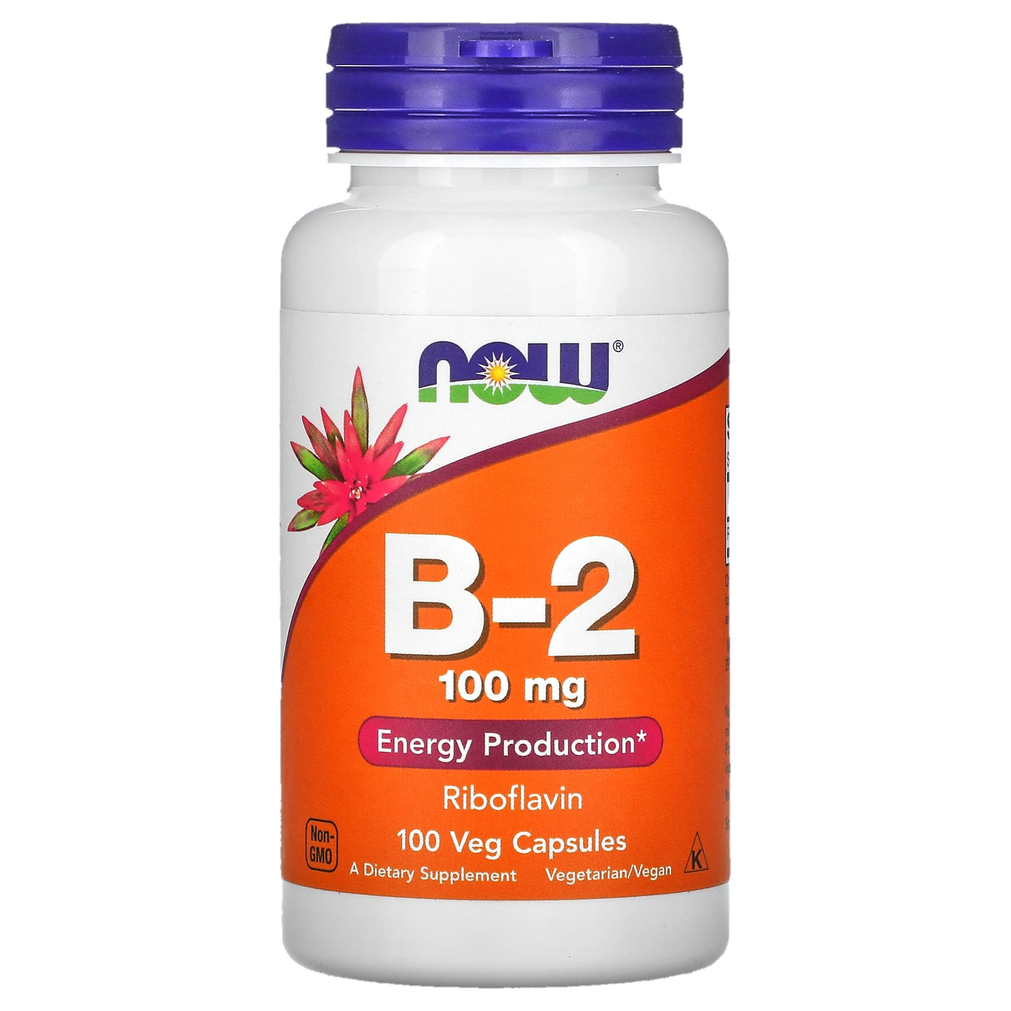 Vitamin B2 Now